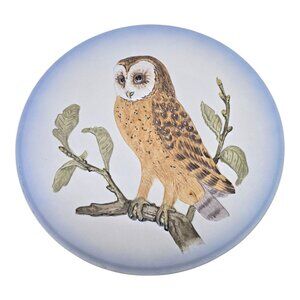 Vintage Hummel Goebel Wildlife Plate Barn Owl